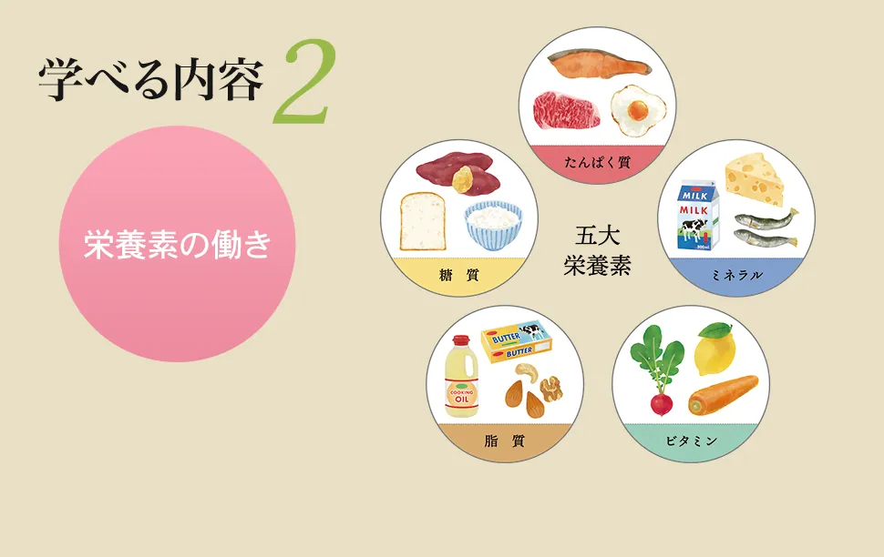 学べる内容2