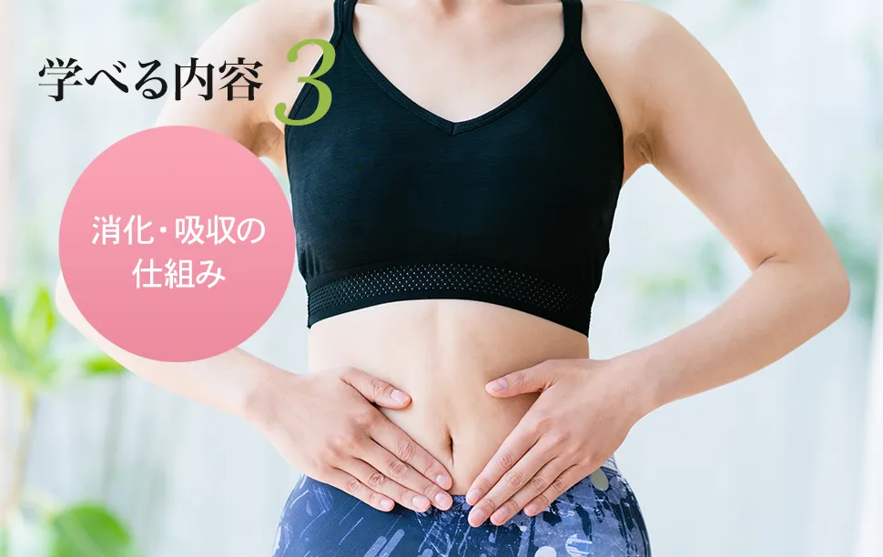 学べる内容3