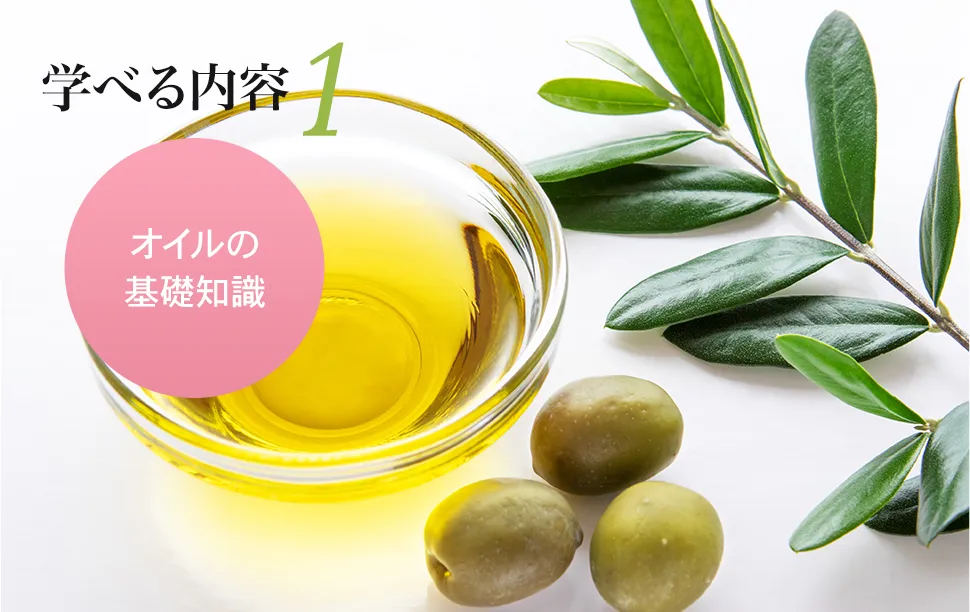 学べる内容1