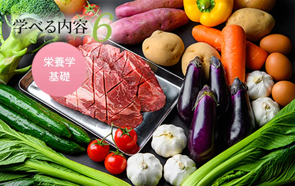学べる内容6
